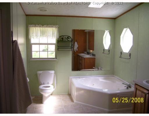 1184 Cottontree Road Walton, WV 25286 - Photo 6 of 6 Master Bath/Spa.