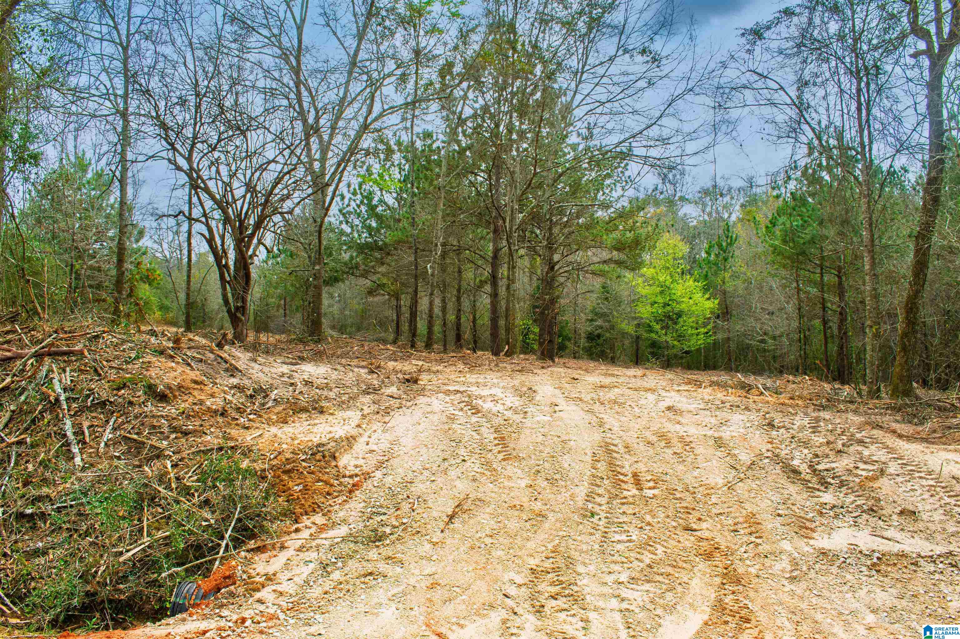 27180 Deer Run Road Opp, AL 36467 - Photo 43 of 60