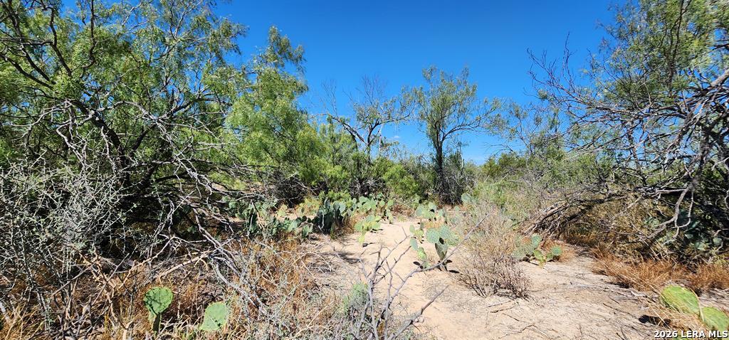 0 Loop 517 Carrizo Springs, TX 78834 - Photo 25 of 30