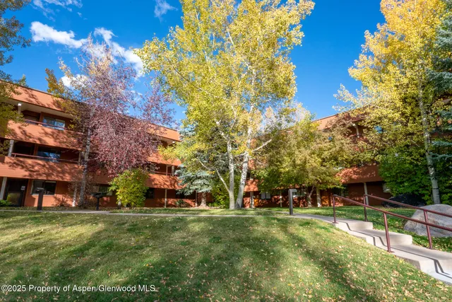 a view of a park with large trees