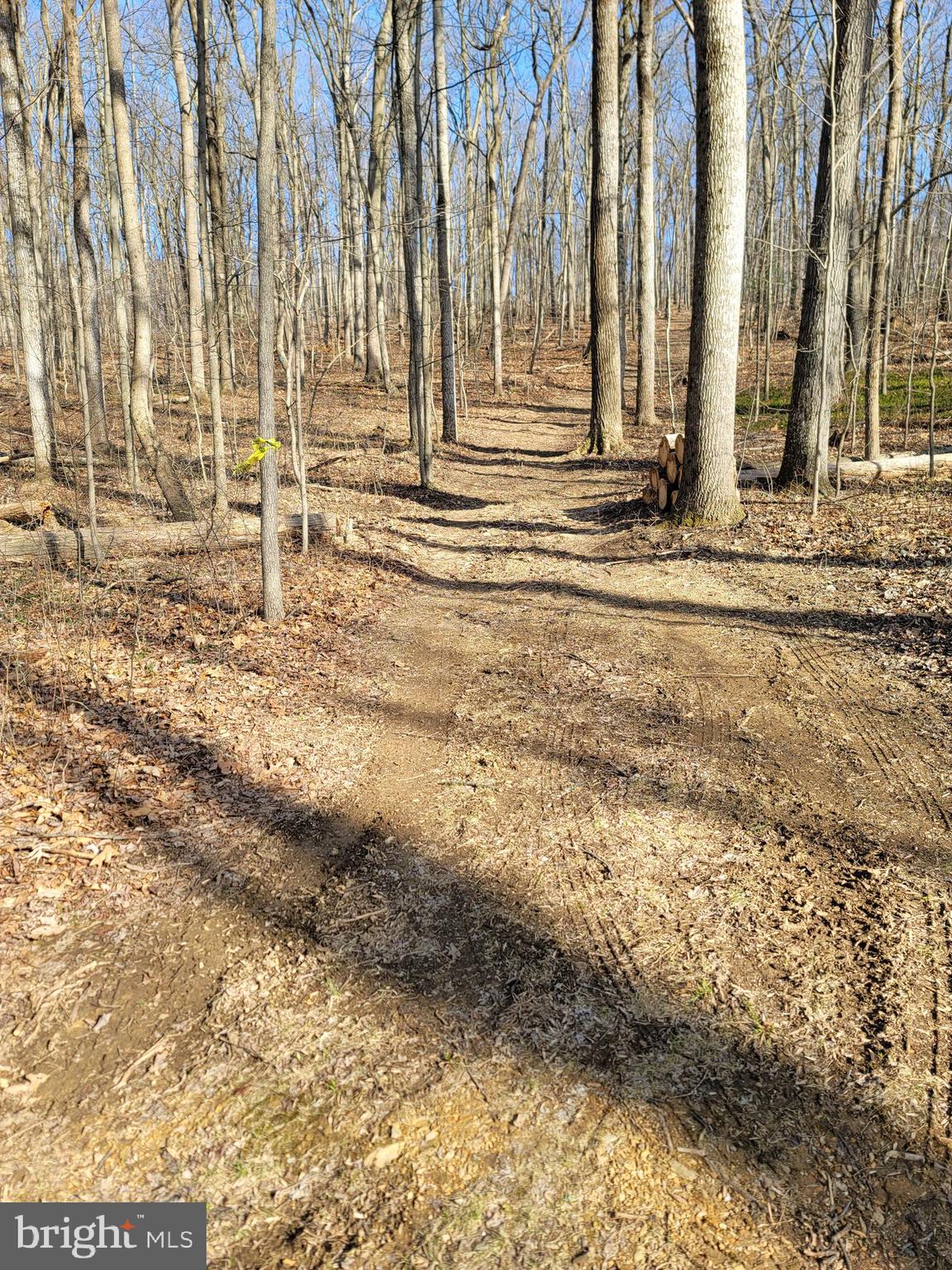0 Lt - 15.088 Acs Of Ebbvale Road Manchester, MD 21102 - Photo 5 of 9 CLEARING FOR PARKING