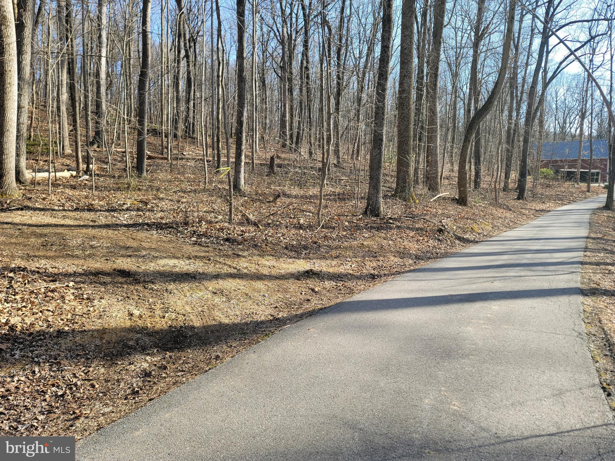 0 Lt - 15.088 Acs Of Ebbvale Road Manchester, MD 21102 - Photo 8 of 9