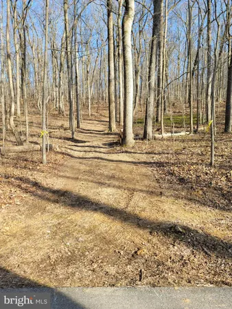 a view of a backyard of the house