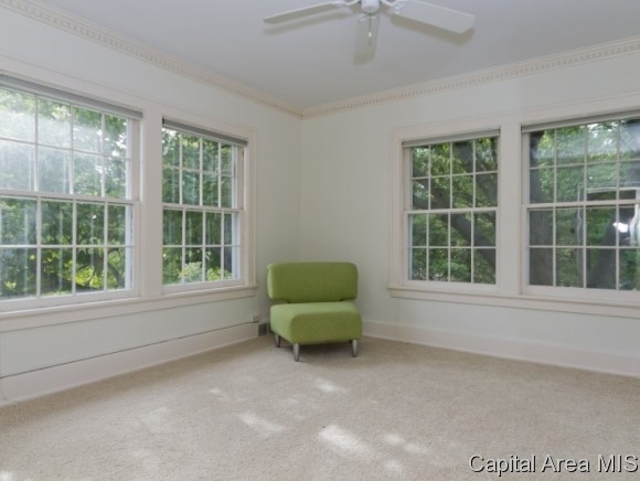 14 Pine Tree Drive Springfield, IL 62704 - Photo 11 of 24 Gallery Image 11