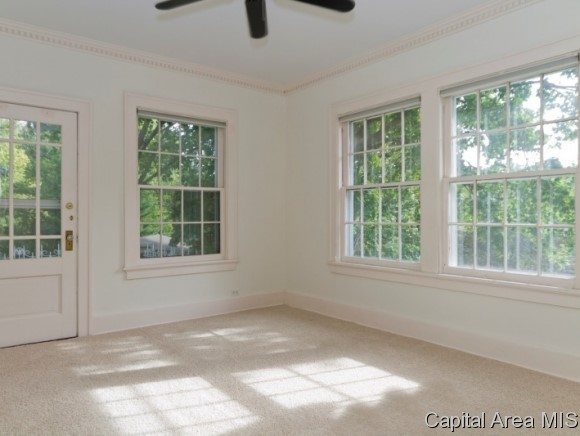 14 Pine Tree Drive Springfield, IL 62704 - Photo 6 of 24 Gallery Image 6