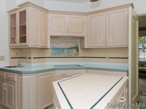 14 Pine Tree Drive Springfield, IL 62704 - Photo 9 of 24 Gallery Image 9