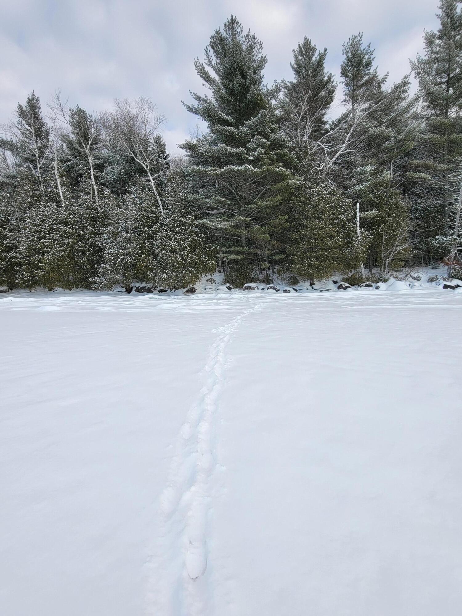 0 Railroadbed Rd Lake View Milo, ME 04463 - Photo 47 of 68 20220125_143710