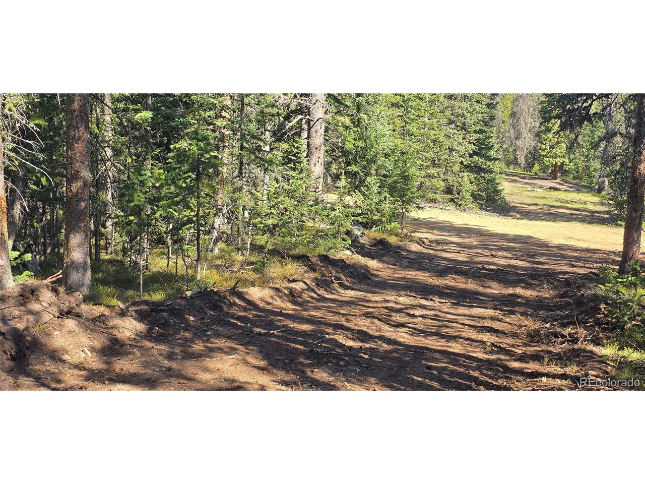 6515 Doyle Road San Luis, CO 81152 - Photo 15 of 21 Gallery Image 15