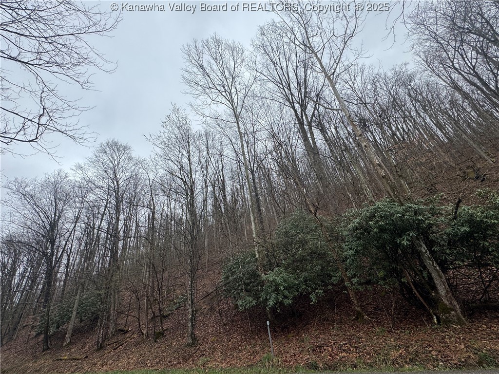 0 Groves-Wattsville Road Ivydale, WV 25113 - Photo 9 of 29 Gallery Image 9
