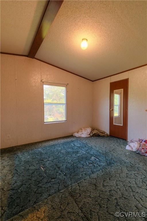 1455 Hendricks Road Pamplin, VA 23958 - Photo 25 of 37 Empty room featuring carpet flooring, healthy amou