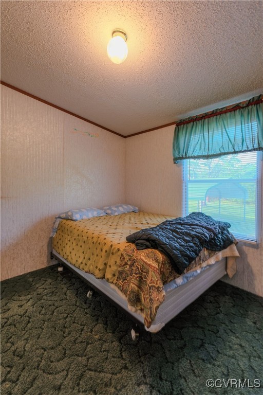 1455 Hendricks Road Pamplin, VA 23958 - Photo 26 of 37 Carpeted bedroom featuring a textured ceiling