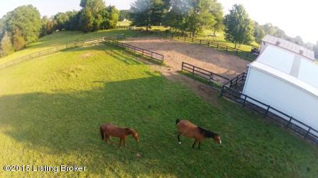 308 Wales Run Road Mount Washington, KY 40047 - Photo 45 of 48 Horses in front 3