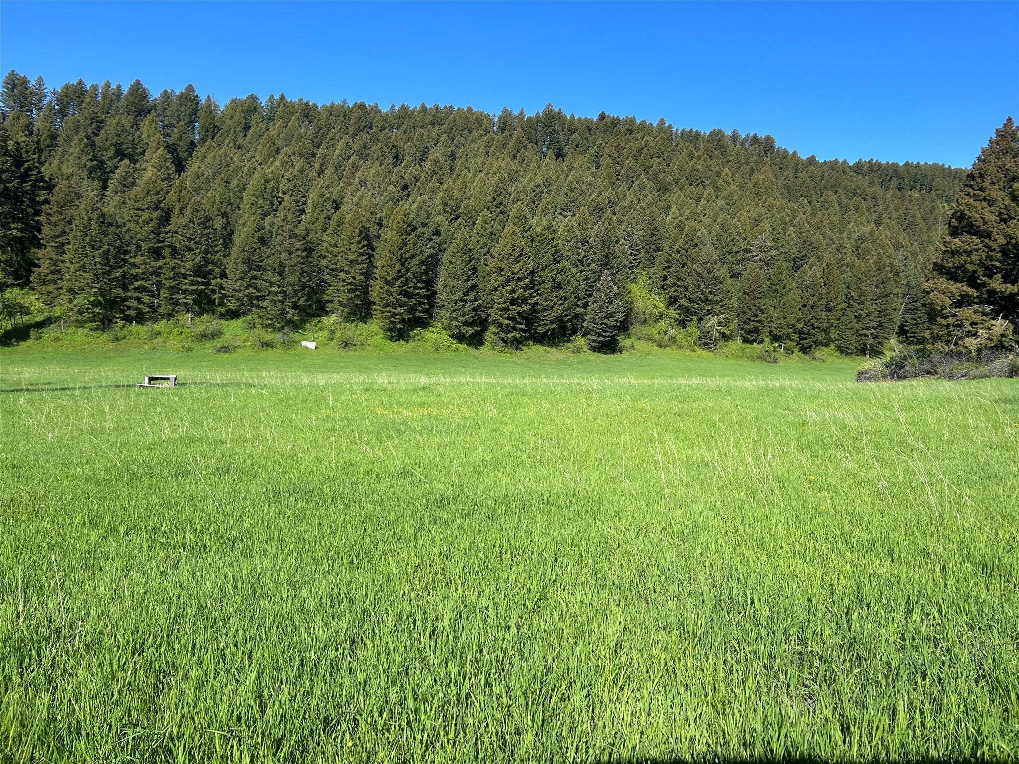 Nhn Chestnut Road Bozeman, MT 59715 - Photo 7 of 27 Gallery Image 7