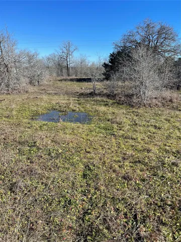 a view of a dry yard with wooden fence
