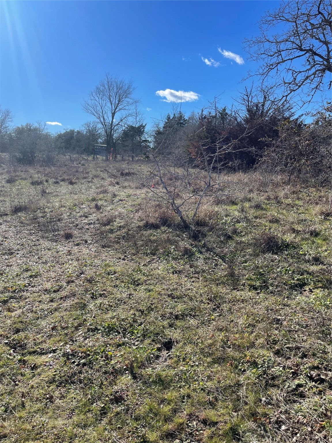 154 Fm 154 Muldoon, TX 78949 - Photo 2 of 9 a view of a dry yard with wooden fence