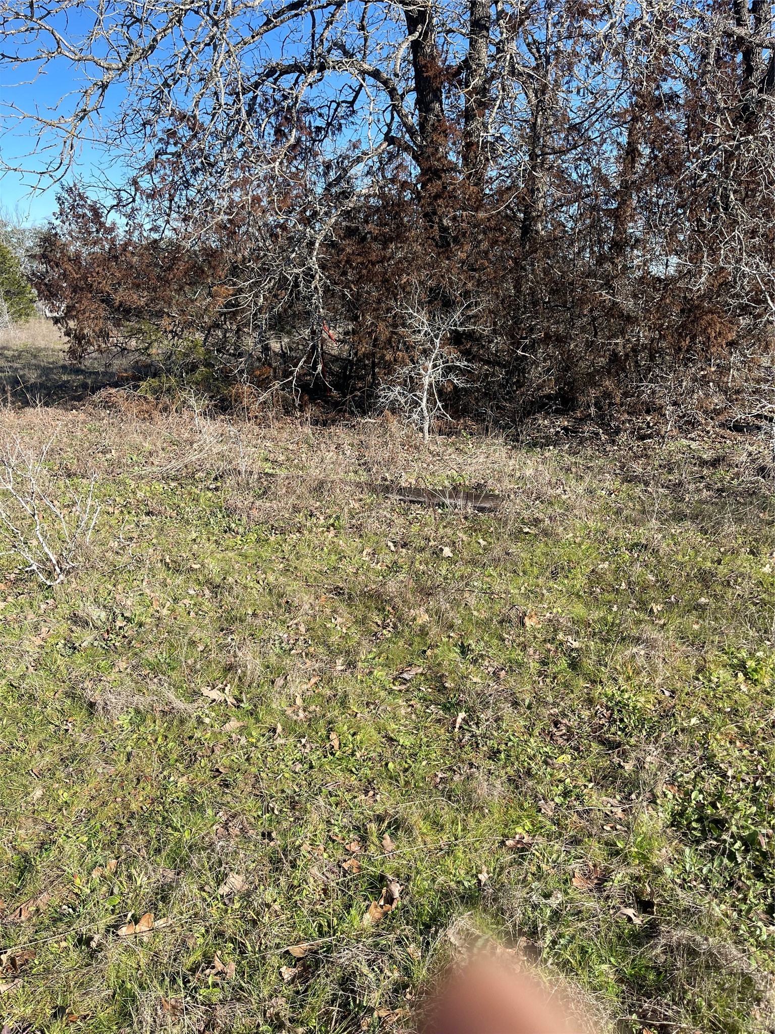 154 Fm 154 Muldoon, TX 78949 - Photo 3 of 9 a view of a yard
