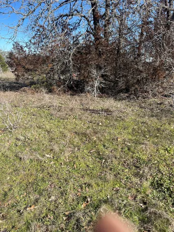 a view of a covered with trees