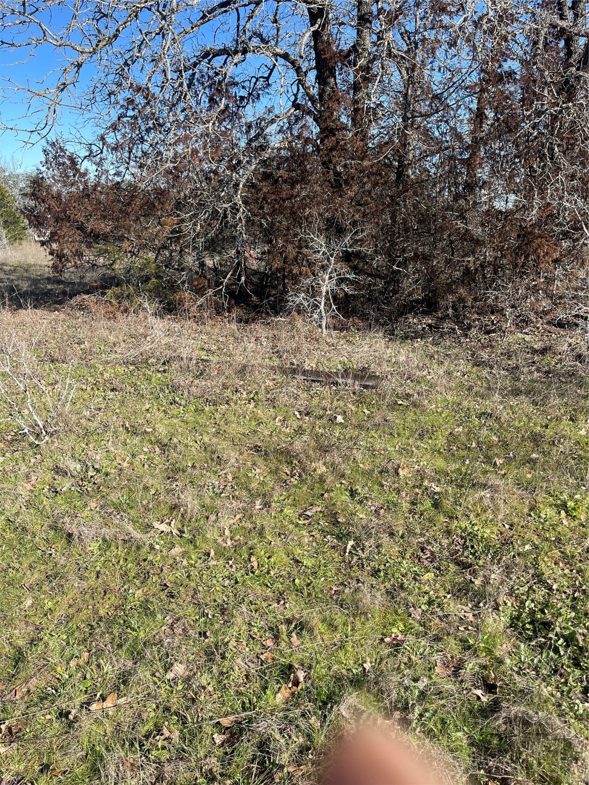 154 Fm 154 Muldoon, TX 78949 - Photo 3 of 9 a view of a yard