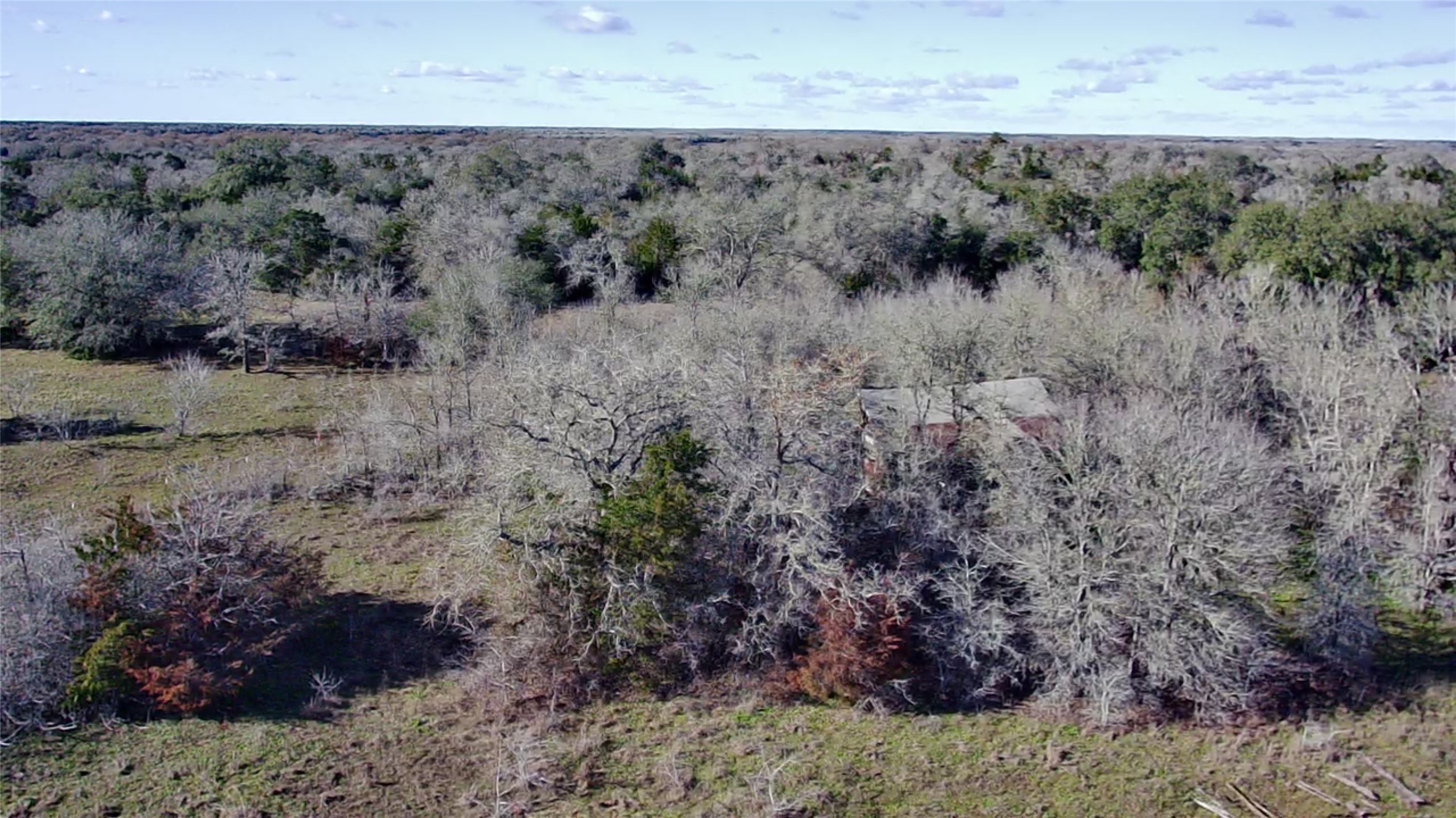 154 Fm 154 Muldoon, TX 78949 - Photo 4 of 9 a view of a covered with trees