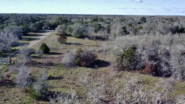 a view of a dry yard
