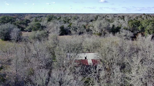 a view of a forest with a yard
