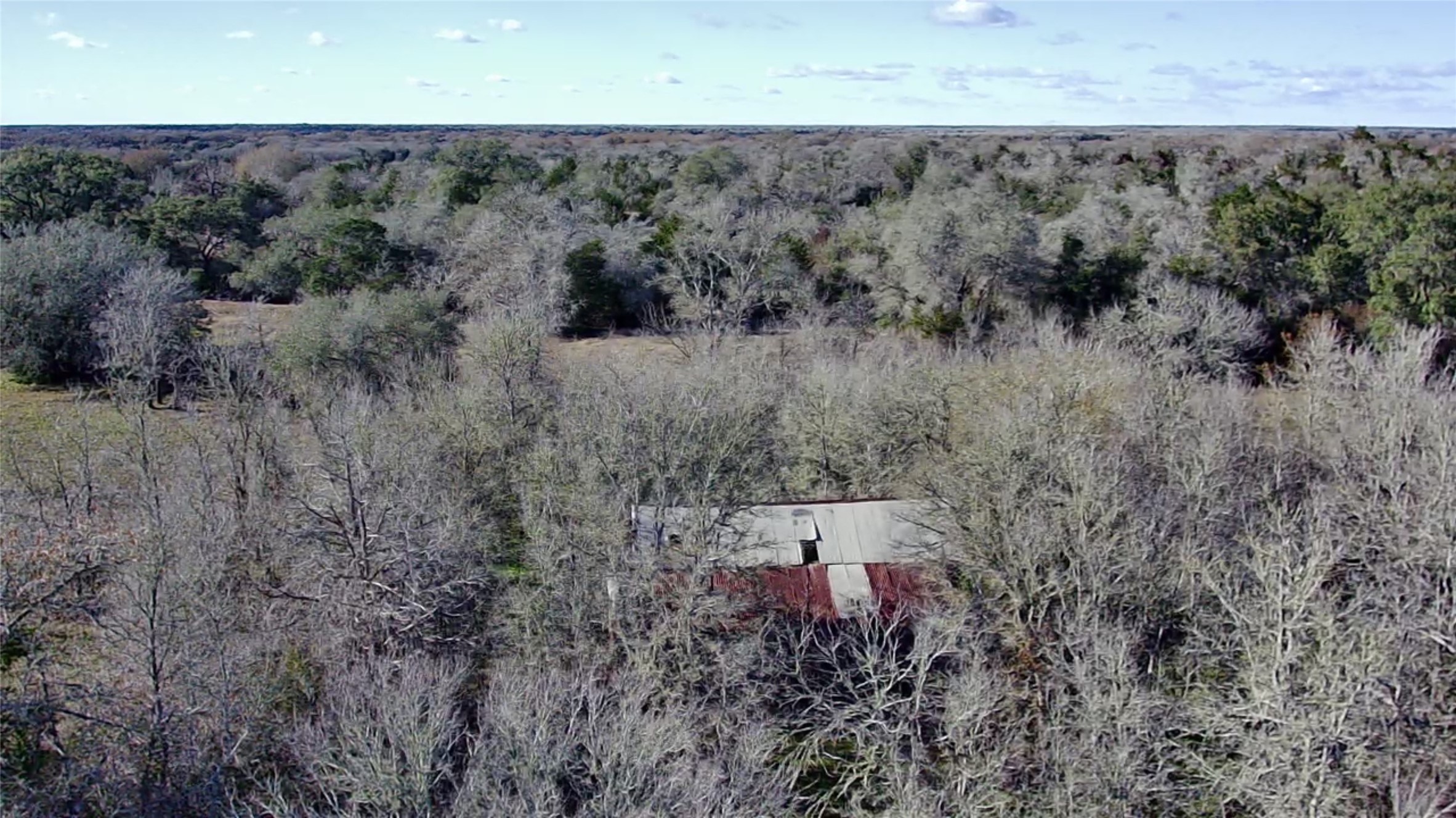 154 Fm 154 Muldoon, TX 78949 - Photo 6 of 9 a view of a dry yard