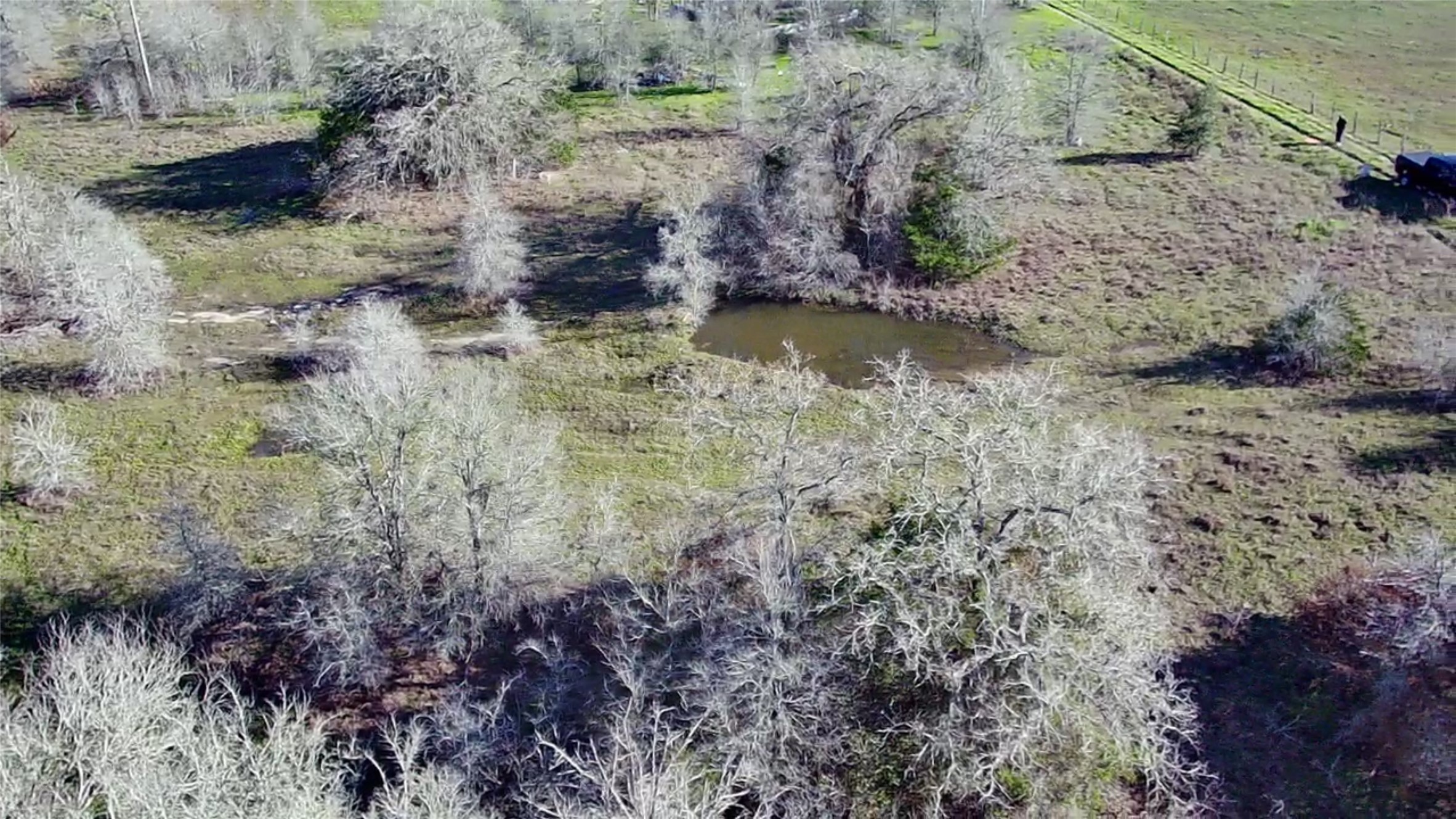 154 Fm 154 Muldoon, TX 78949 - Photo 7 of 9 a view of a forest with a yard