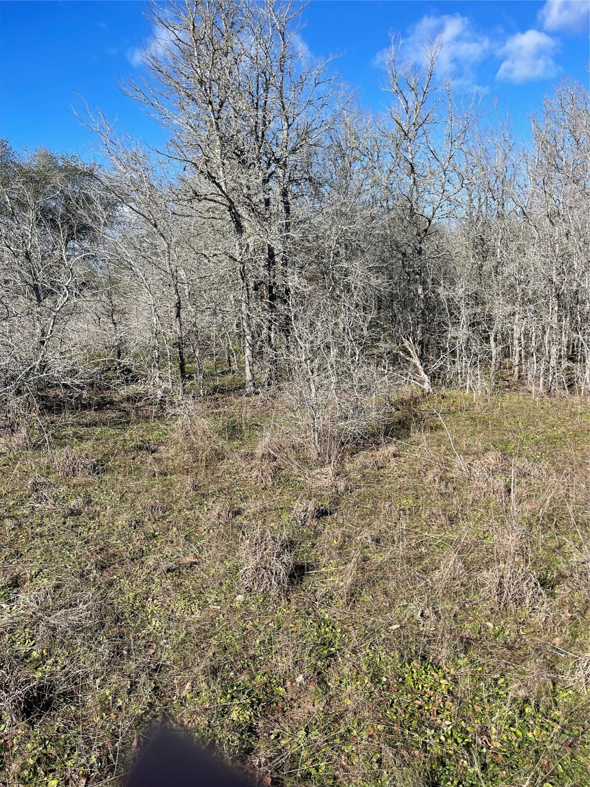 154 Fm 154 Muldoon, TX 78949 - Photo 9 of 9 a view of a yard