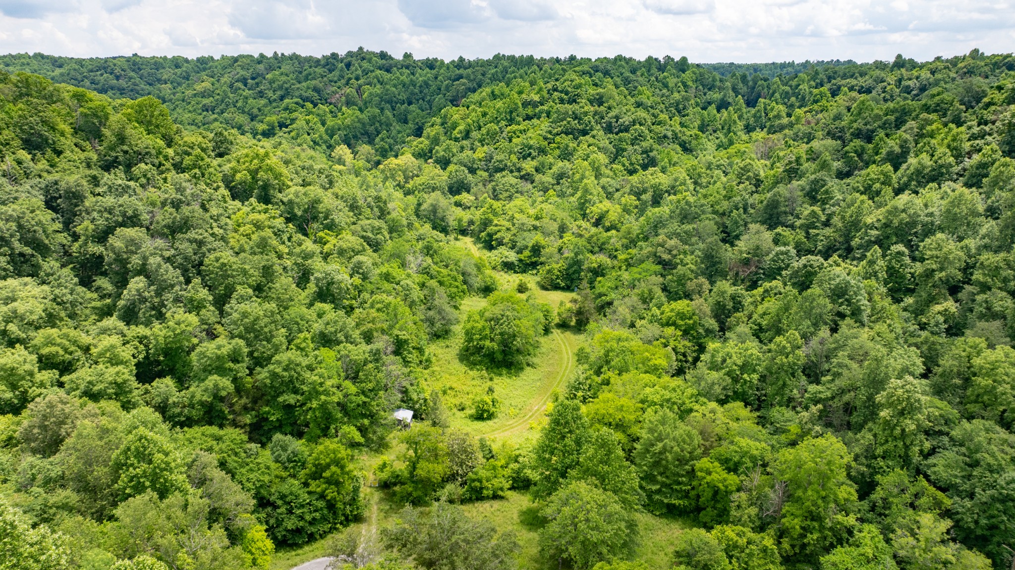 582 Cedar Bend Road Beechgrove, TN 37018 - Photo 23 of 32