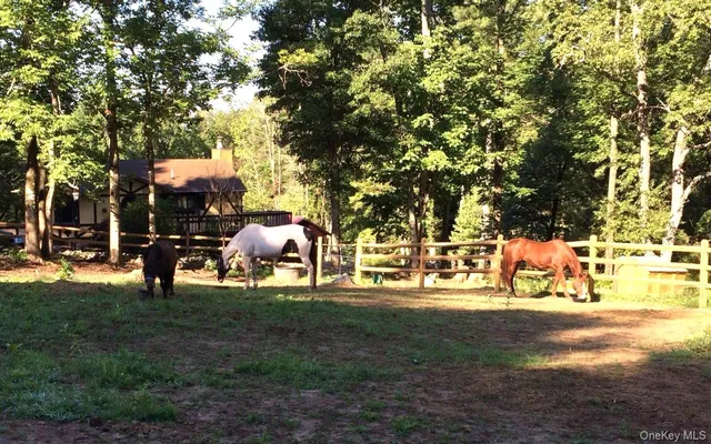 $369,000 | 51 Forestburgh Road, Forestburgh, NY 12777