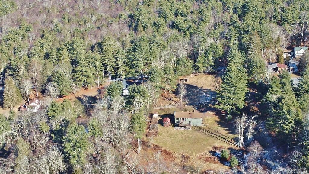 51 Forestburgh Road Forestburgh, NY 12777 - Photo 31 of 35 a view of outdoor space and covered with trees
