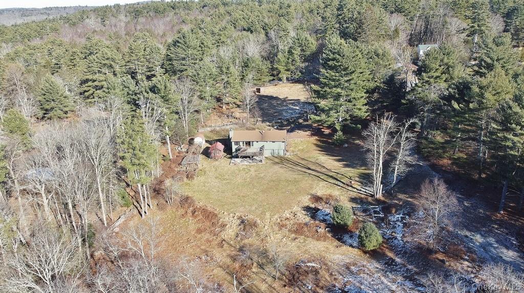 51 Forestburgh Road Forestburgh, NY 12777 - Photo 32 of 35 a view of a yard with trees