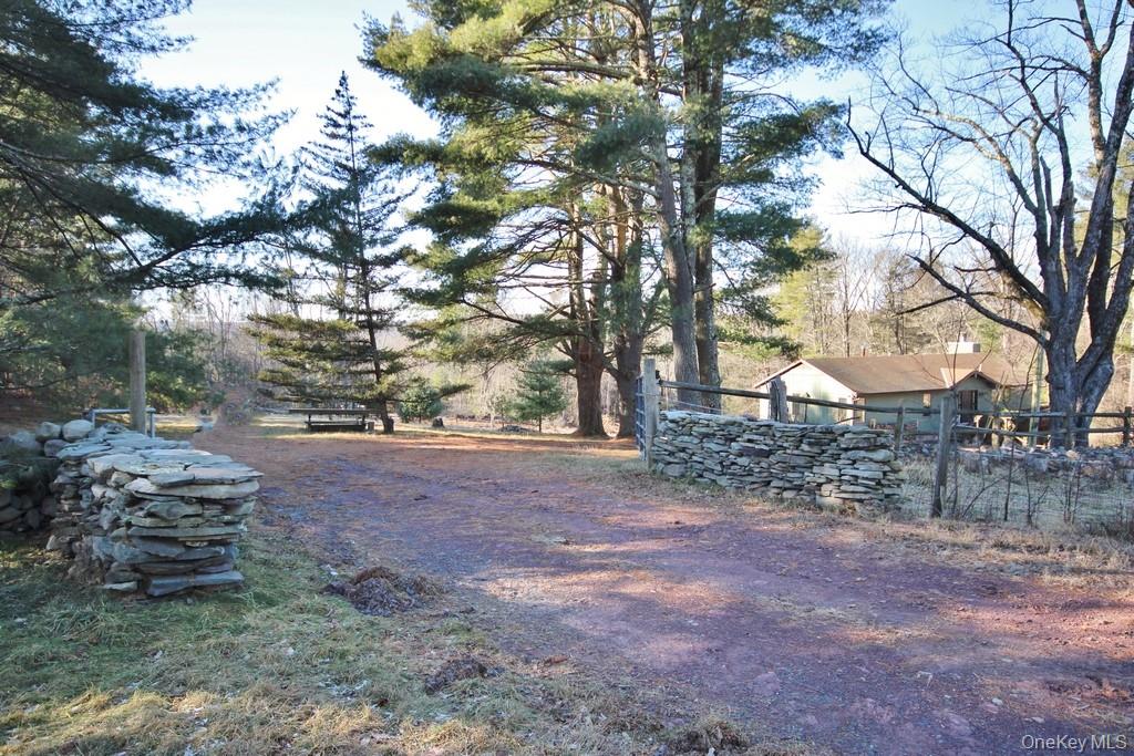 51 Forestburgh Road Forestburgh, NY 12777 - Photo 33 of 35 a view of a yard with trees