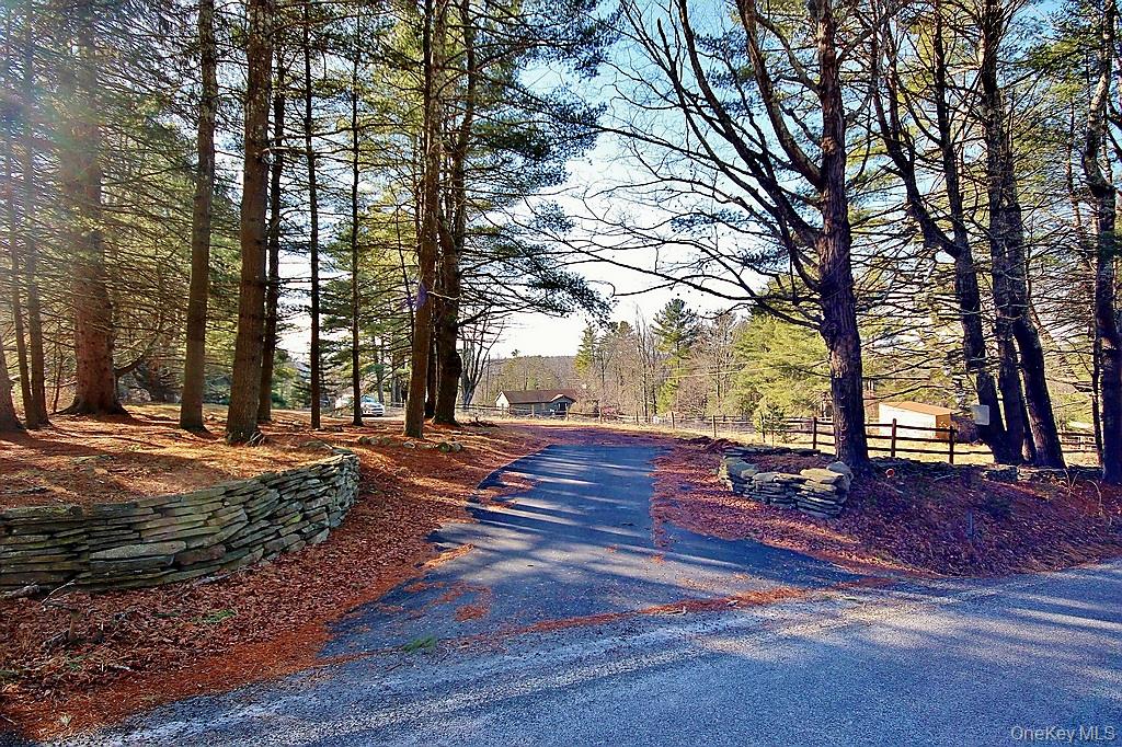 51 Forestburgh Road Forestburgh, NY 12777 - Photo 6 of 35 a view of outdoor space with seating
