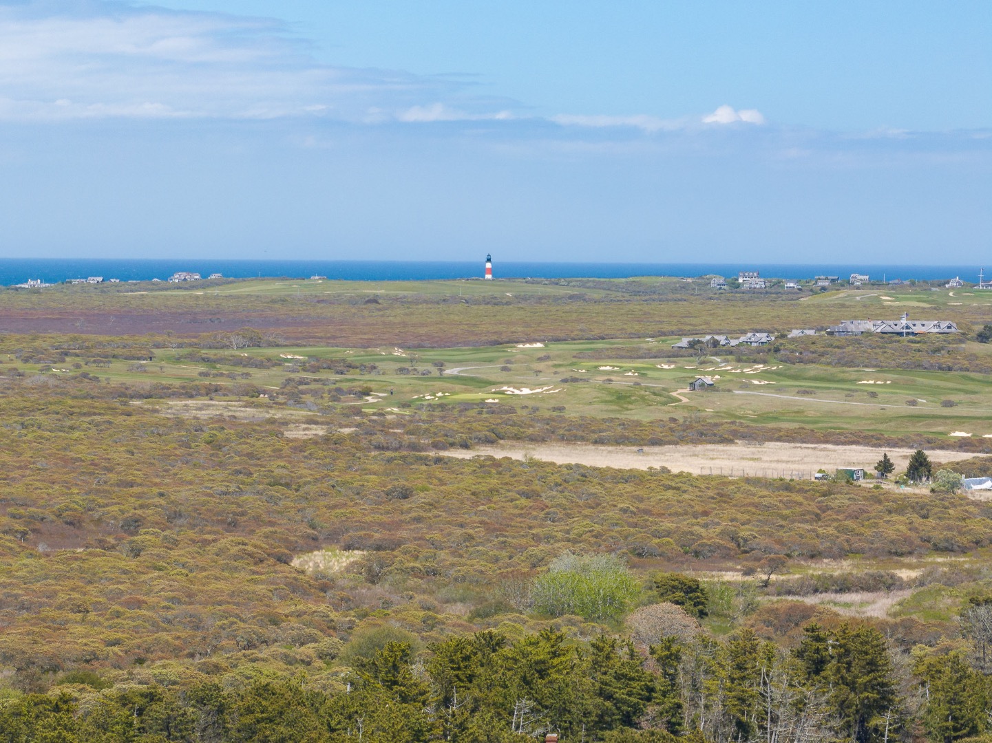 3 Whitetail Circle Nantucket, MA 02554 - Photo 4 of 21