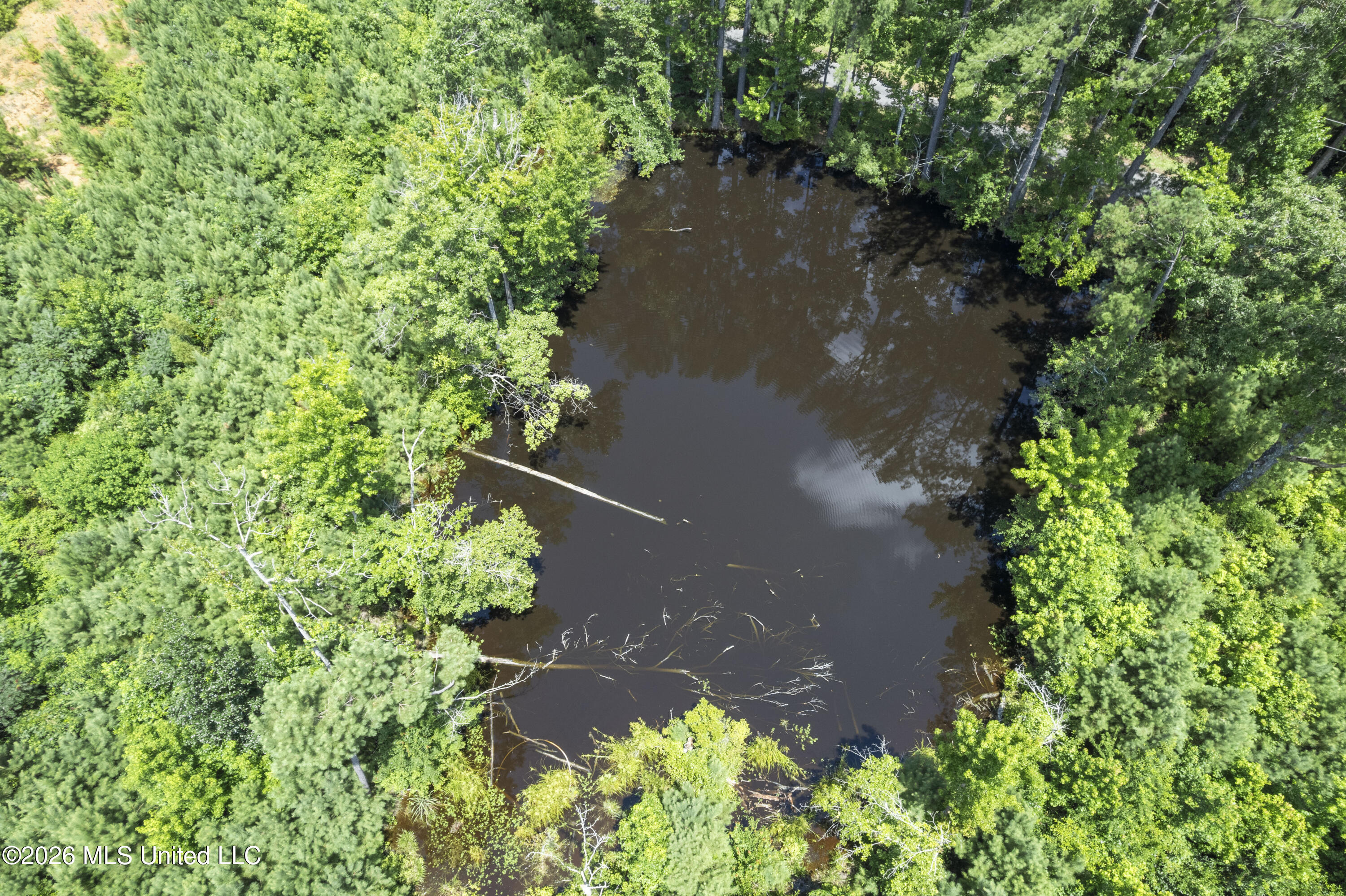 13 Co Road Louin, MS 39338 - Photo 25 of 29 DJI_0289
