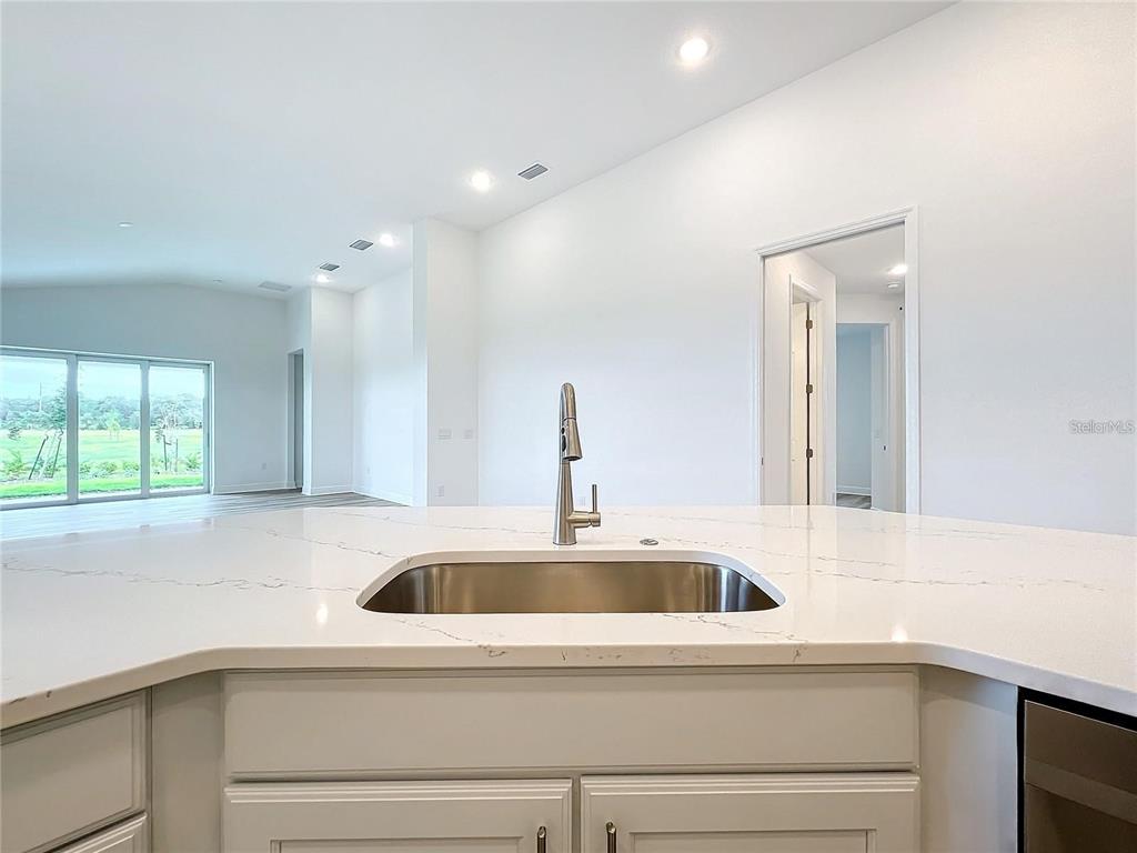 3951 Kennebunk Loop Mount Dora, FL 32757 - Photo 14 of 54 a close view of sink and tap