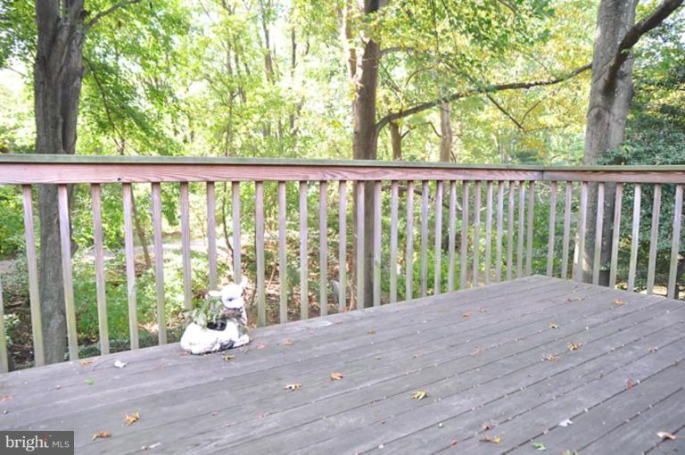 3304 Jones Bridge Road Chevy Chase, MD 20815 - Photo 6 of 6 Deck