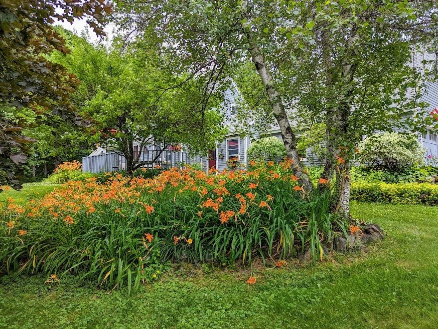 514 Foster Hill Road Henniker, NH 03242 - Photo 20 of 29 Gallery Image 20