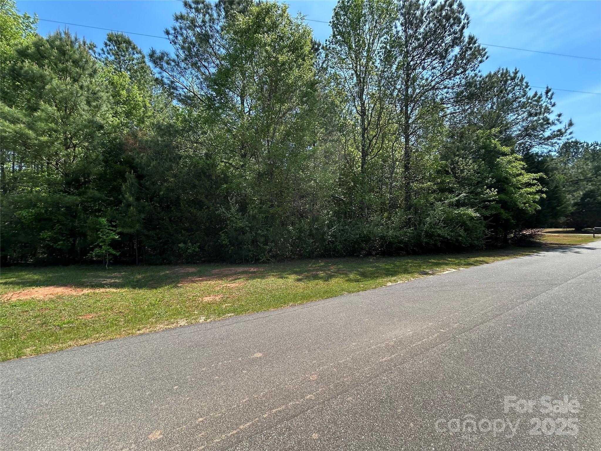 0 Midway Road Richburg, SC 29729 - Photo 3 of 5 Gallery Image 3