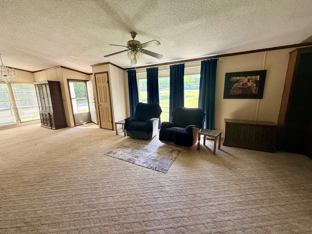 3231 County Road 46 Abbeville, AL 36310 - Photo 4 of 25