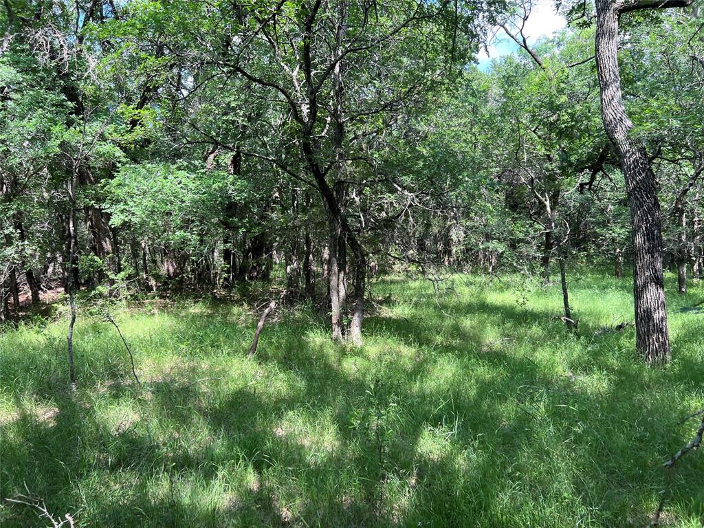 137 County Road 137 Road Cisco, TX 76437 - Photo 8 of 12