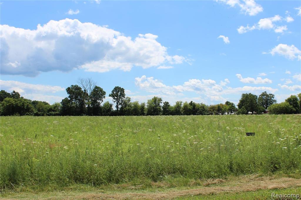 Parcel C Sharrard Road Allenton, MI 48002 - Photo 1 of 14