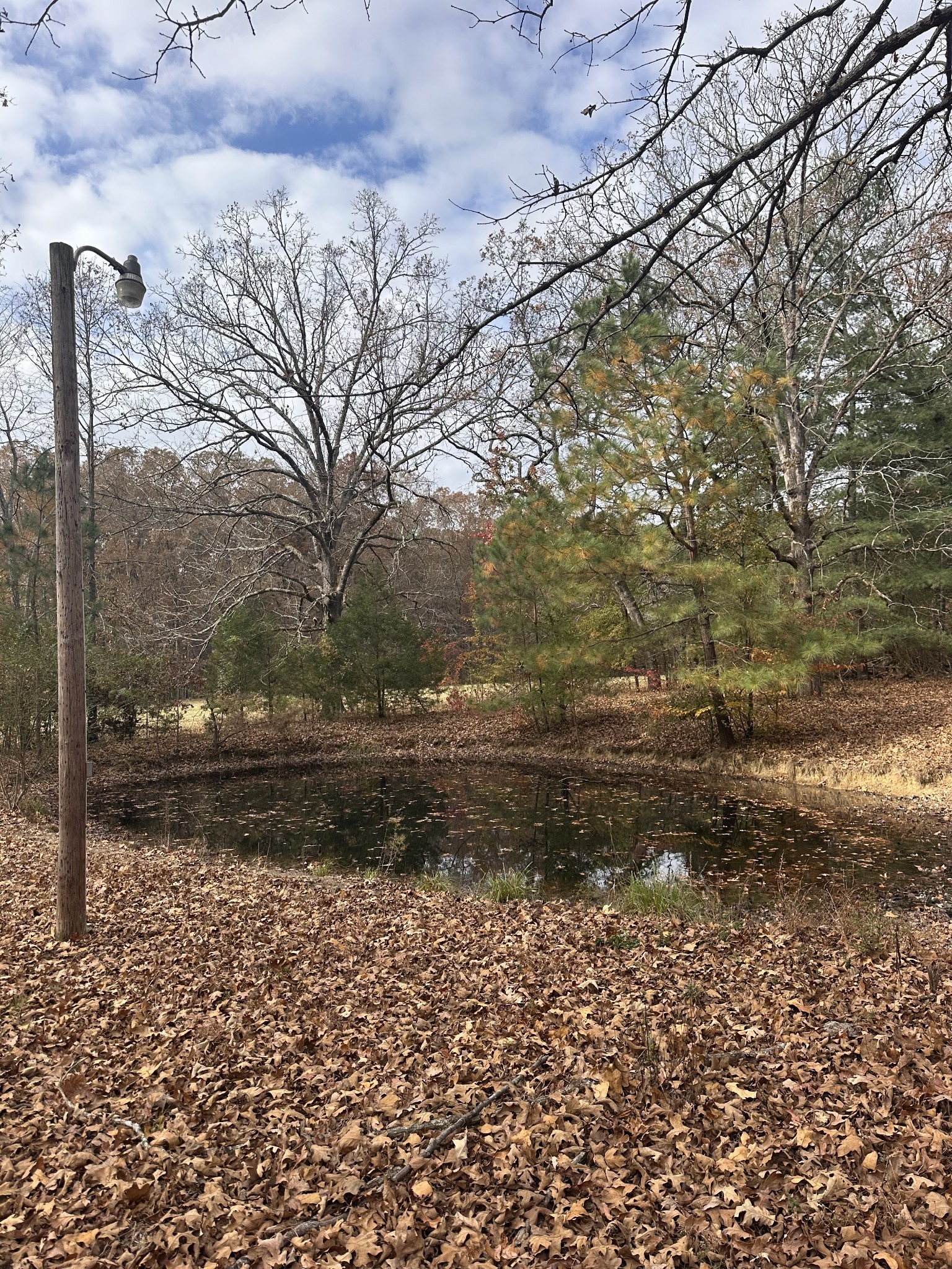 364 B Cook Road Tullahoma, TN 37388 - Photo 7 of 20