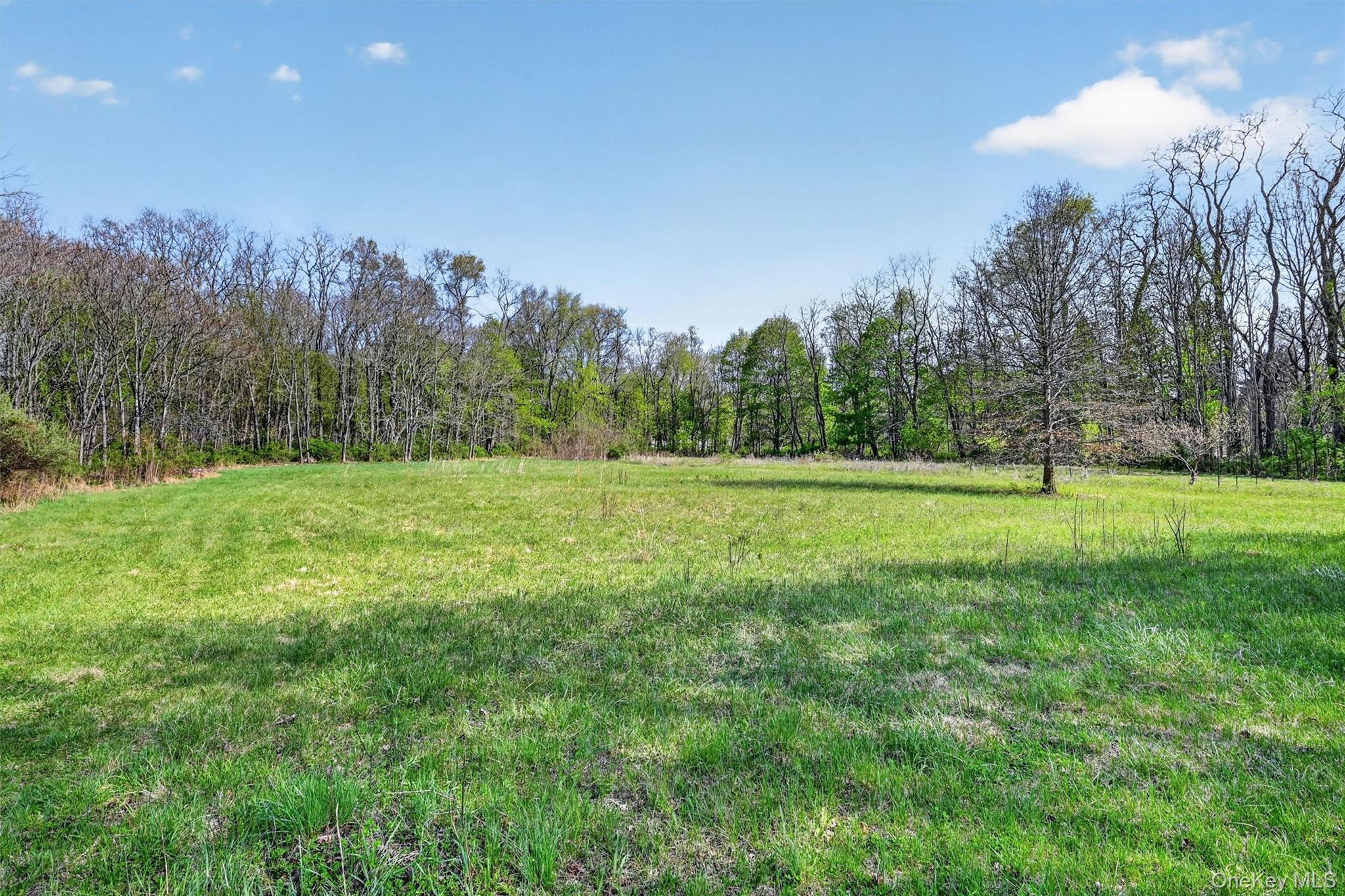 88 Borden Road Walden, NY 12586 - Photo 46 of 49