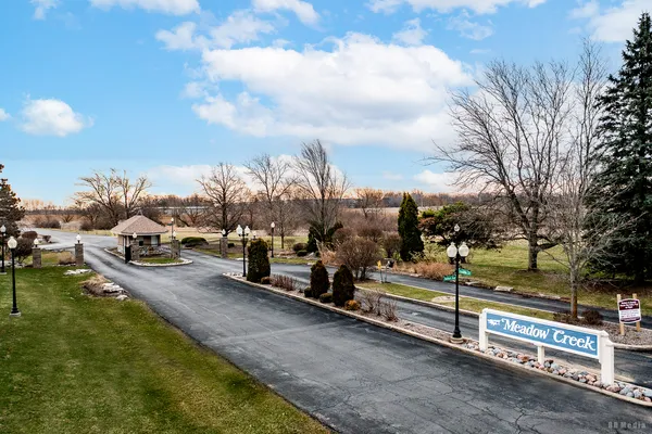 a view of a park with large trees