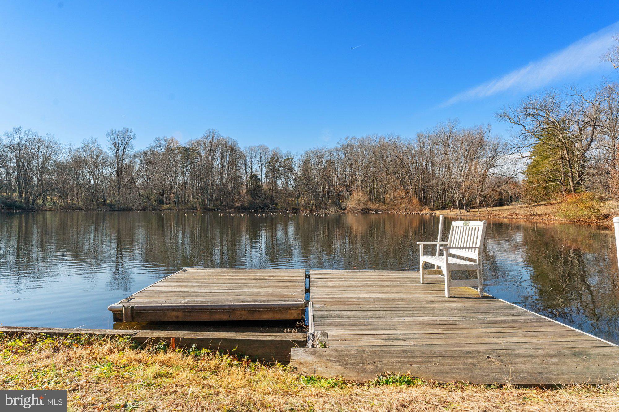 1767 Proffit Road Vienna, VA 22182 - Photo 8 of 117 a view of a lake with a bench and trees in the background