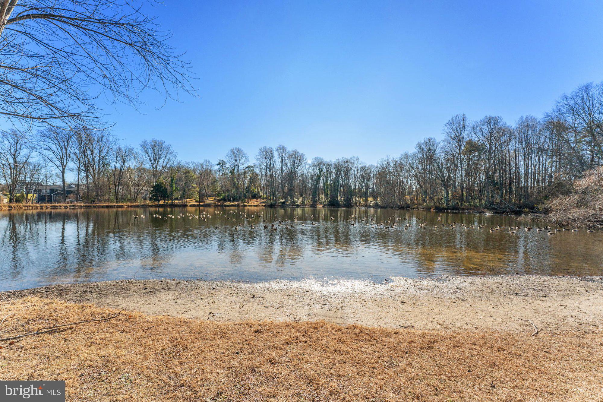 1767 Proffit Road Vienna, VA 22182 - Photo 9 of 117 a view of a lake with a mountain in the background