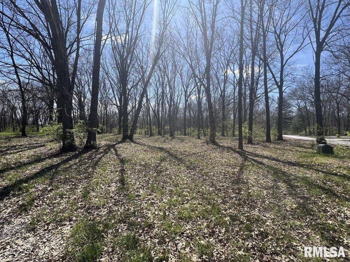 6 Flax Road Macomb, IL 61455 - Photo 1 of 2