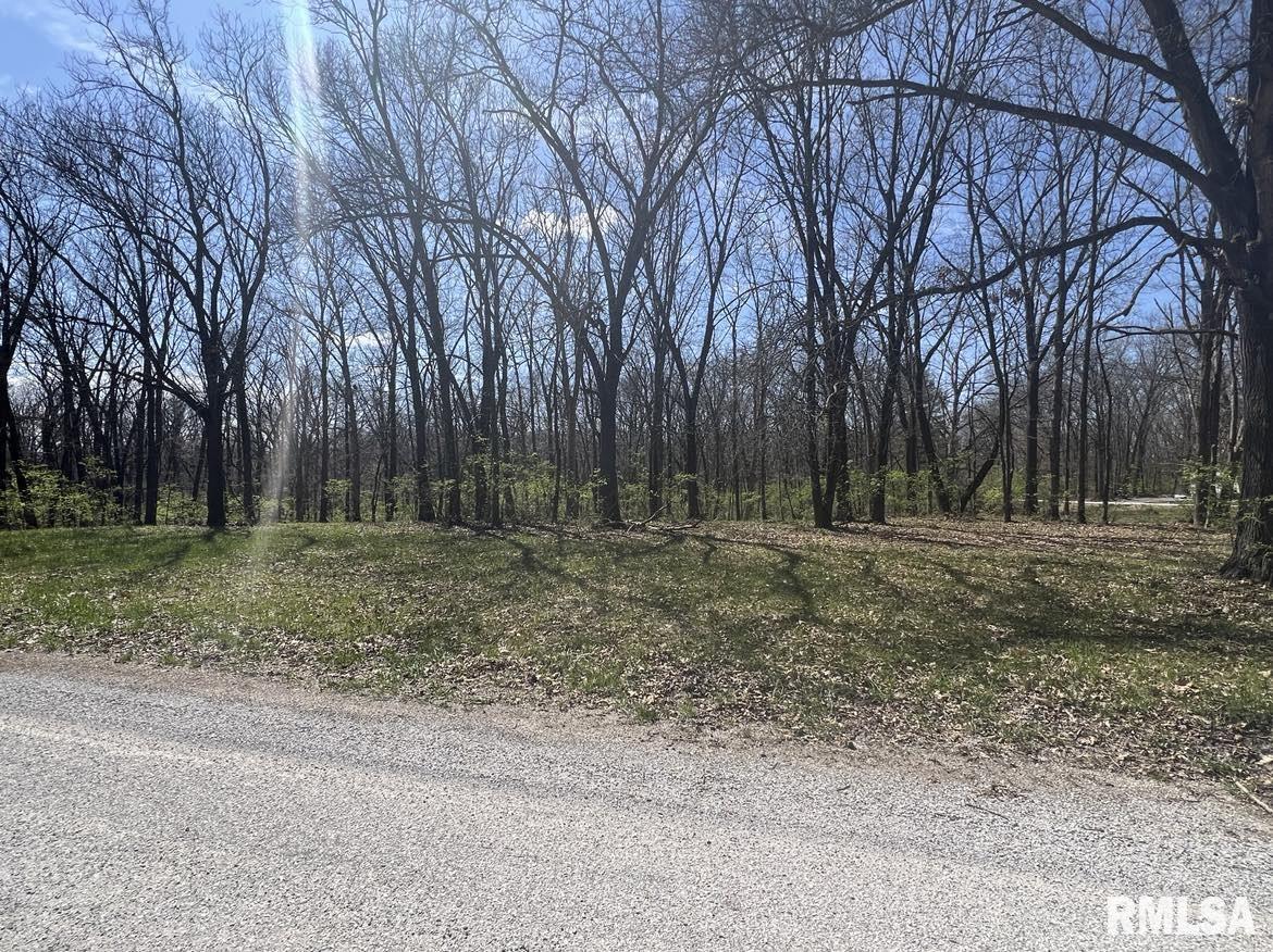 6 Flax Road Macomb, IL 61455 - Photo 2 of 2